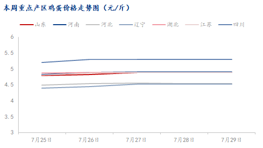 广东今日鸡蛋价格行情，一场探寻内心平静的鸡蛋之旅