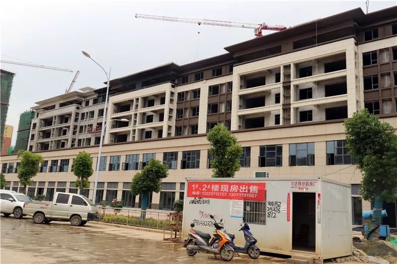 光山黄河源最新房价信息揭秘，楼市动态抢先看！
