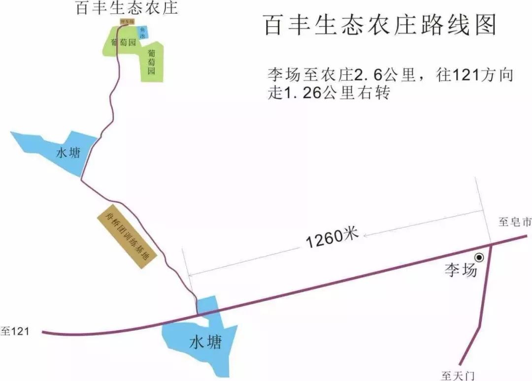 天门皂市镇最新动态更新