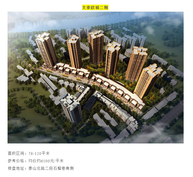 德阳杨恩林最新动态揭秘，追踪与了解的技能发展步骤指南