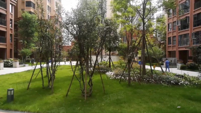 西岸翠景最新动态更新