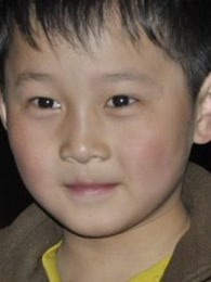 李佳奇演员,重磅推荐李佳奇演员——闪耀影视界的新星