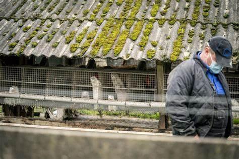 丹麦疫情最新动态