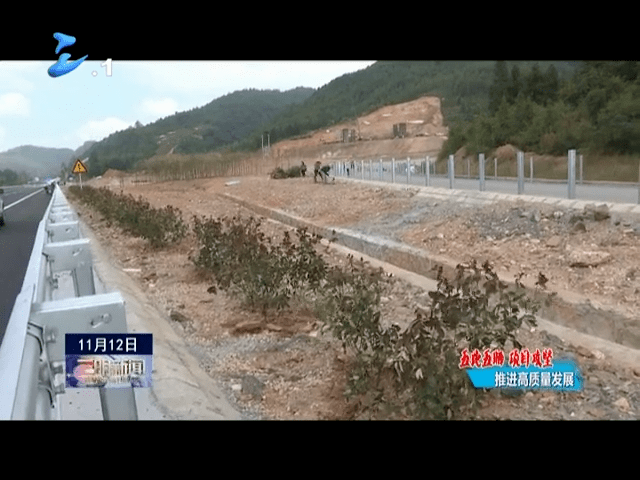 莆炎高速最新动态，速度与情感的交织之旅