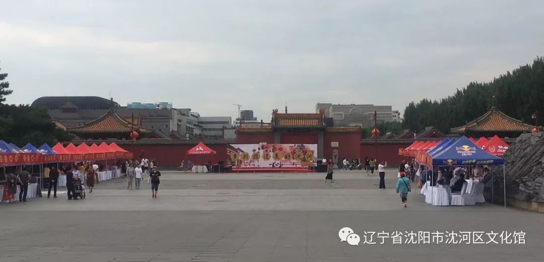 沈河区巷弄深处的独特风味最新动态