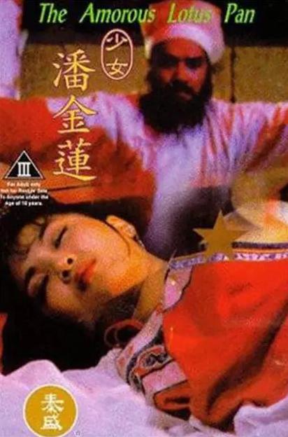 少女潘金连电影，小巷中的独特奇遇与风味展现