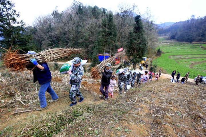 信用社股金能否上市？探究其可能性并跟随心灵去旅行！