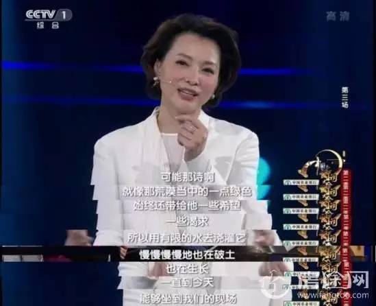白茹云最新动态揭秘，小巷特色小店的独特魅力与隐藏宝藏