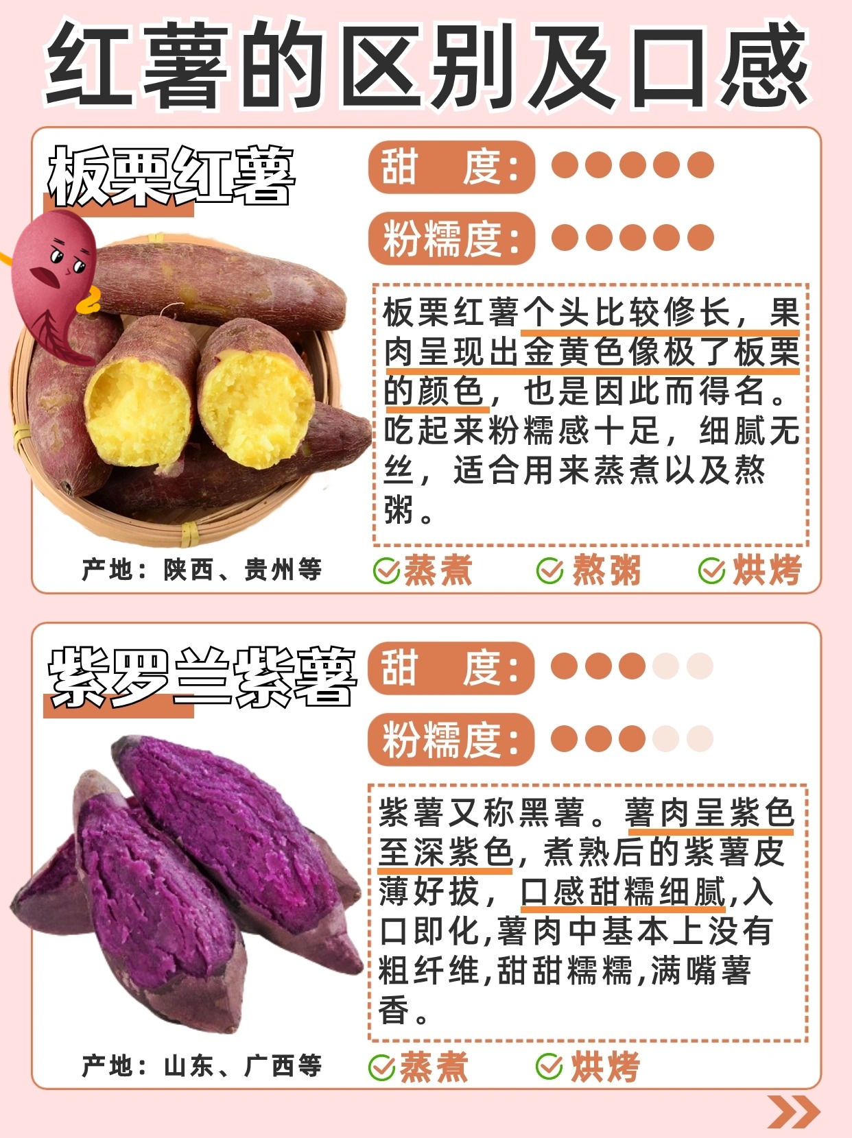 最新红薯品种介绍及种植与选择指南