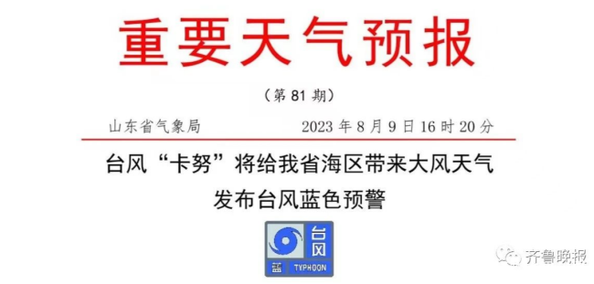 山东最新资讯，小城趣事与深厚友情的温馨报道